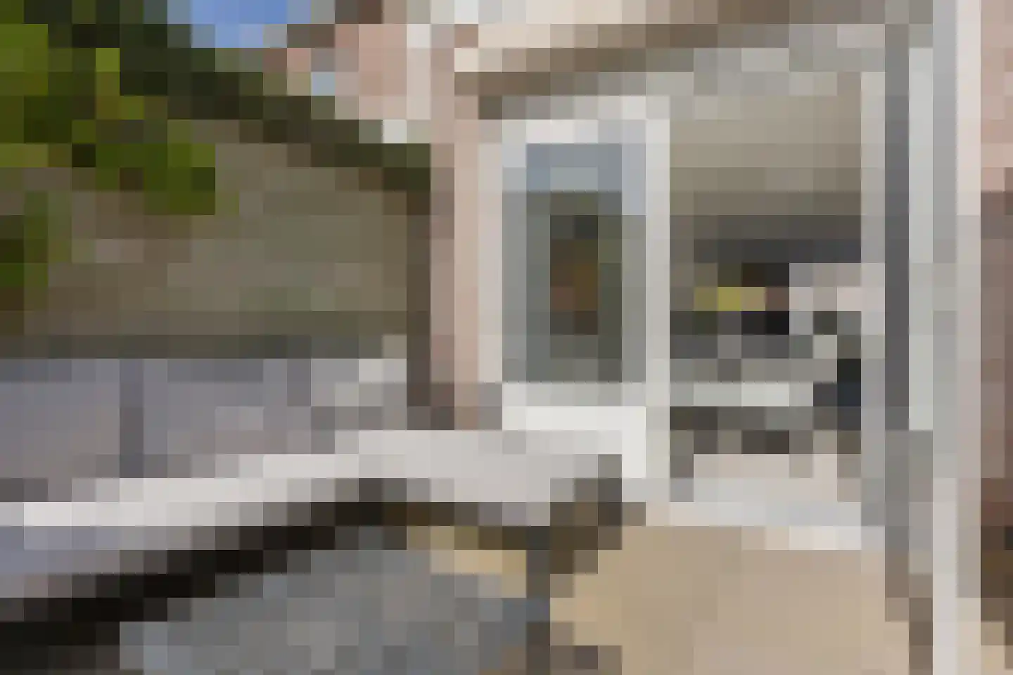 Greente 105 Genemuiden thumbnail 24
