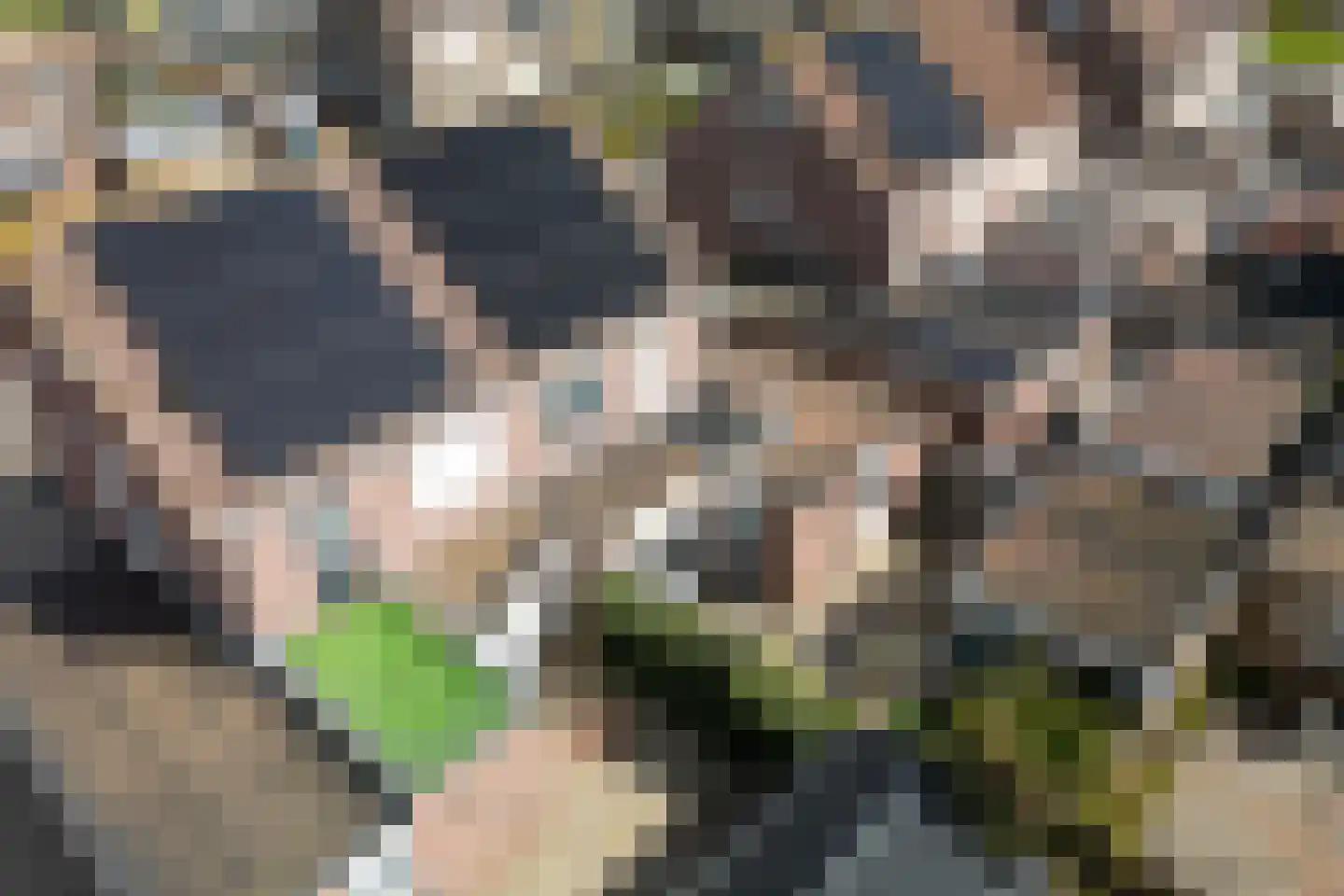 Greente 105 Genemuiden thumbnail 33