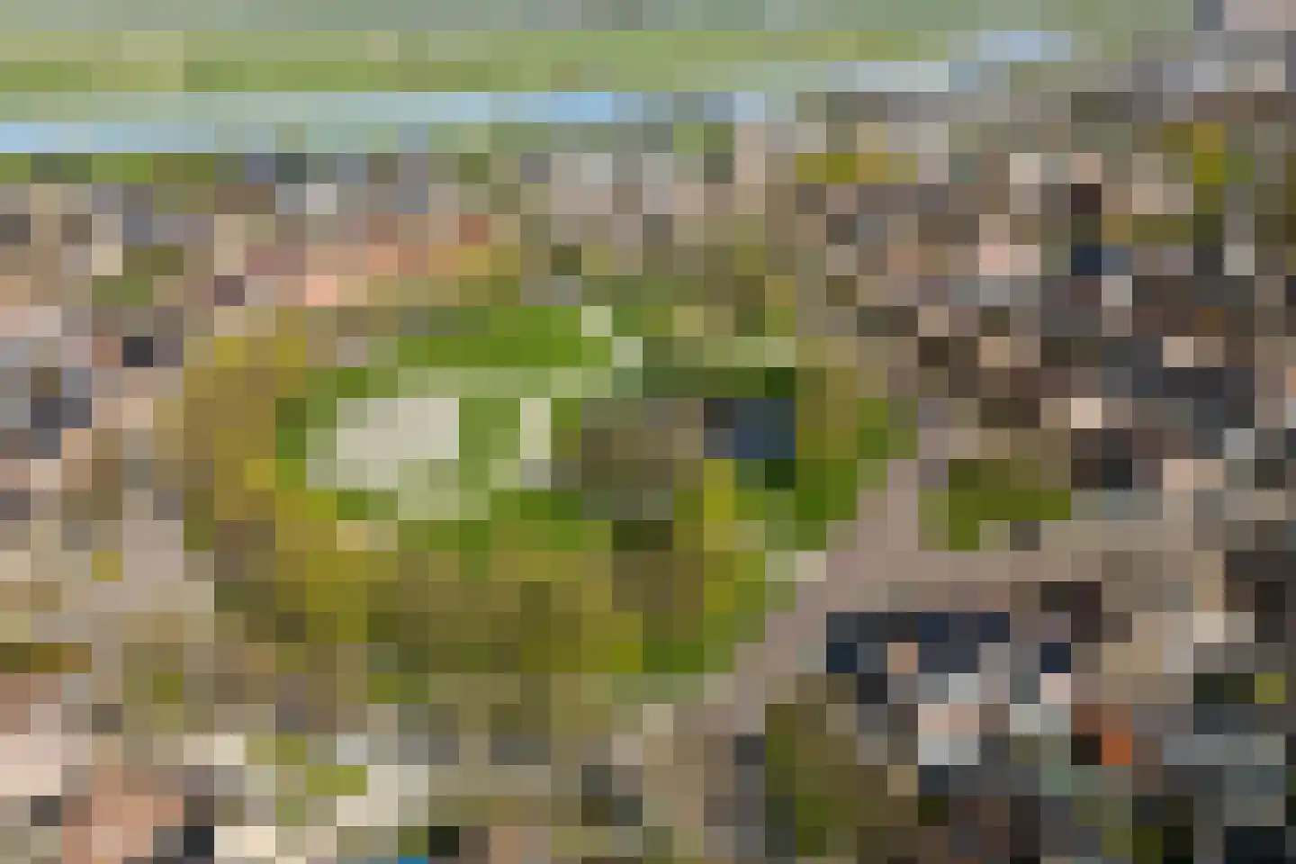 Greente 105 Genemuiden thumbnail 6