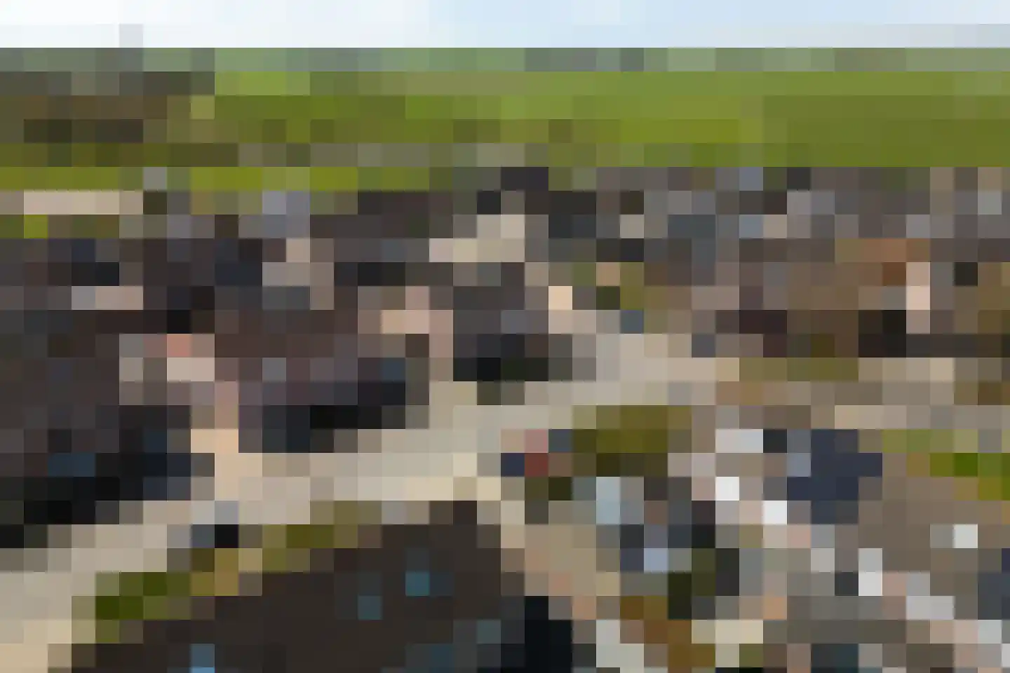 Greente 105 Genemuiden thumbnail 9