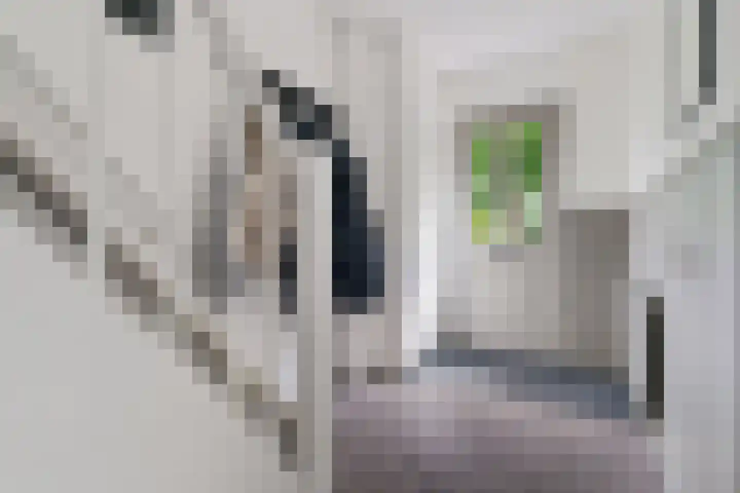 Greente 153 Genemuiden thumbnail 12