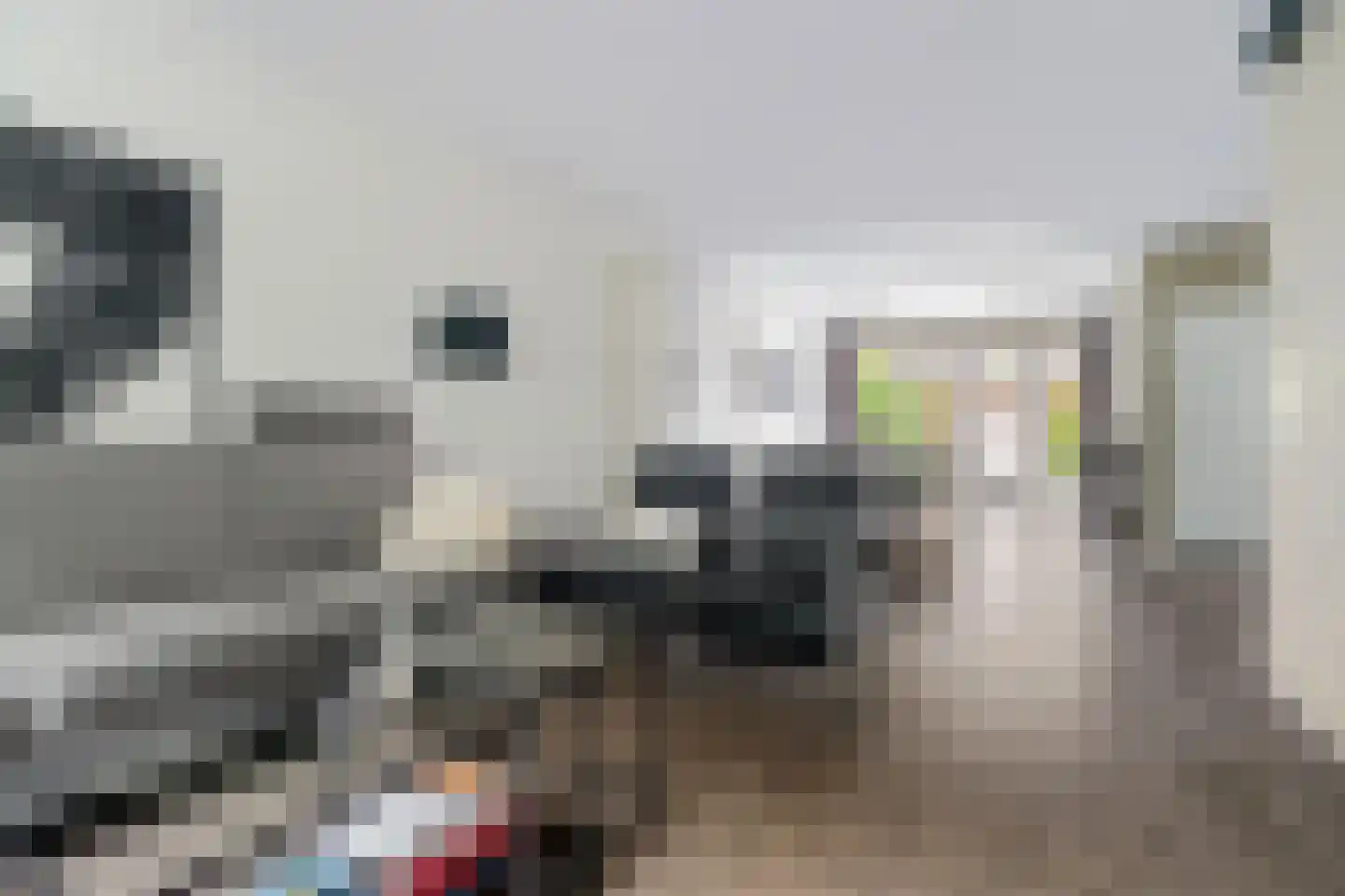 Greente 153 Genemuiden thumbnail 15