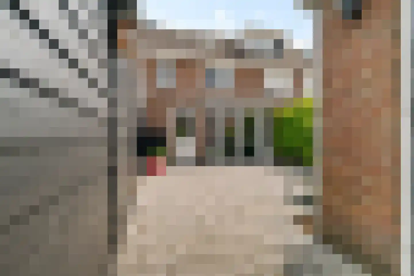 Greente 153 Genemuiden thumbnail 25