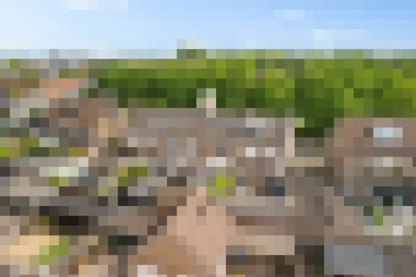 Greente 153 Genemuiden thumbnail 27