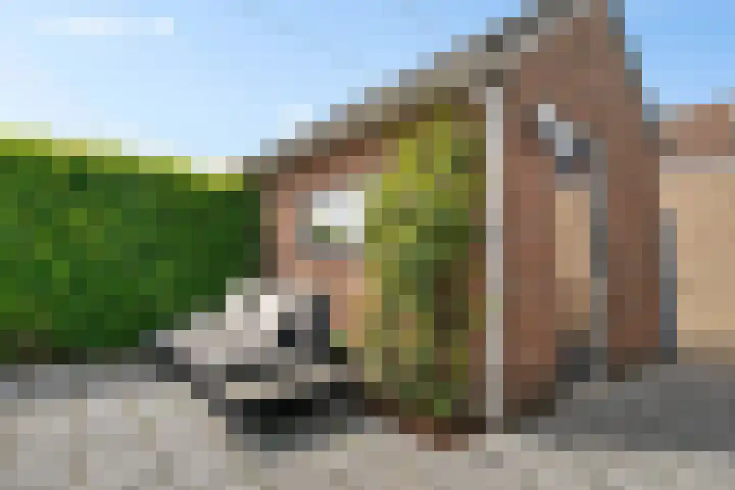 Greente 153 Genemuiden thumbnail 29