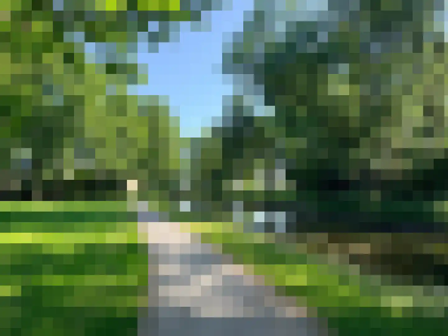 Greente 7 Genemuiden thumbnail 11
