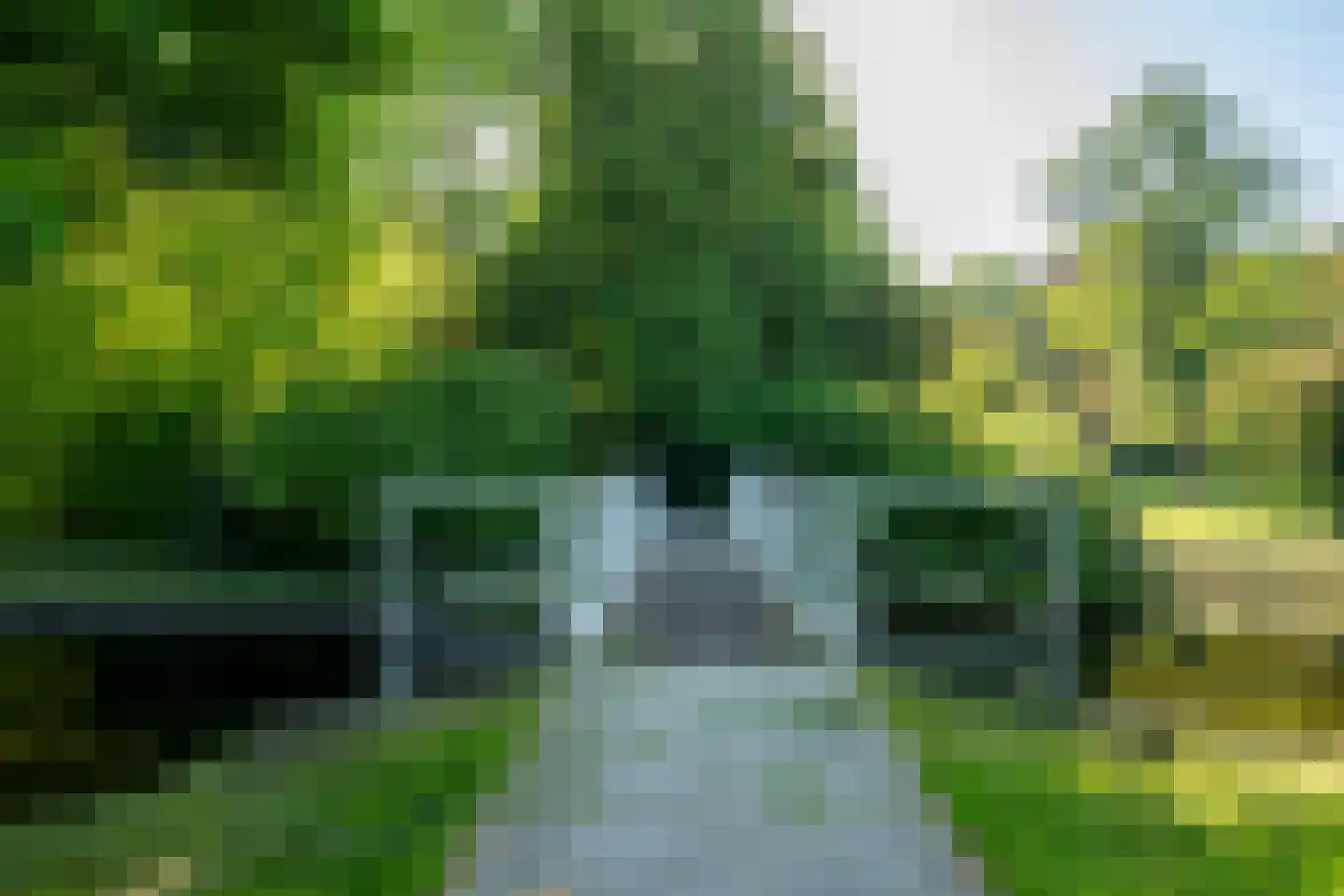 Greente 7 Genemuiden thumbnail 13