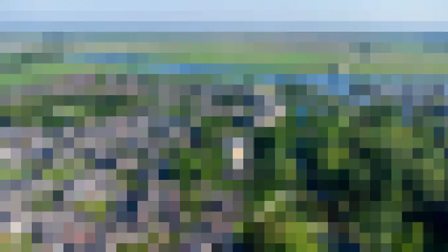 Greente 7 Genemuiden thumbnail 15