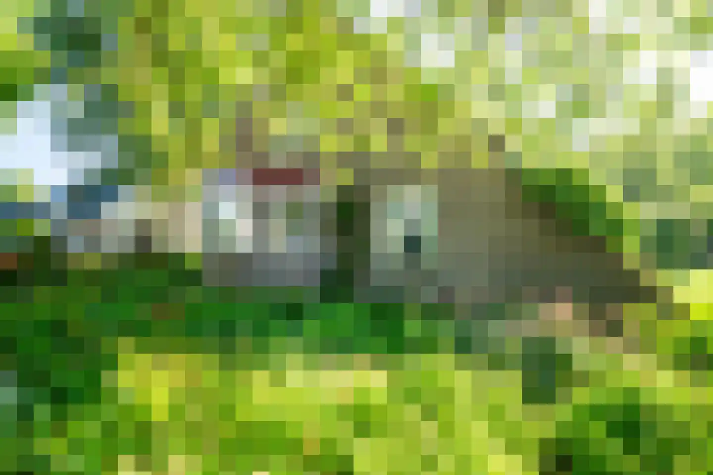 Greente 7 Genemuiden thumbnail 16