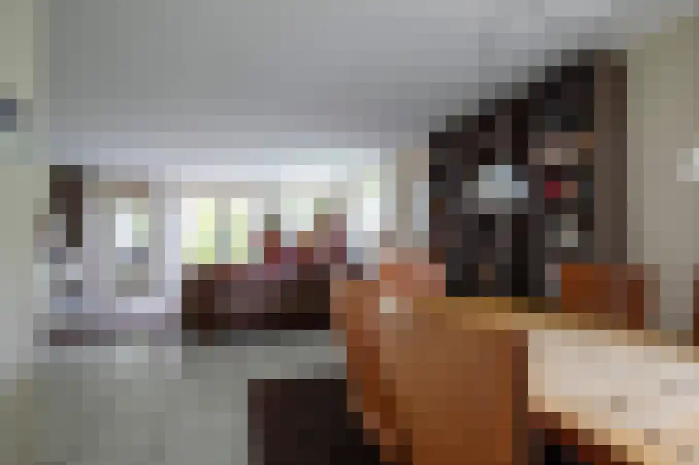 Greente 7 Genemuiden thumbnail 23