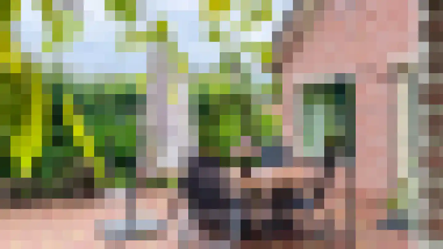 Greente 7 Genemuiden thumbnail 32