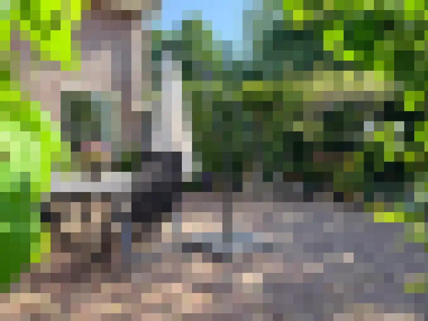 Greente 7 Genemuiden thumbnail 33
