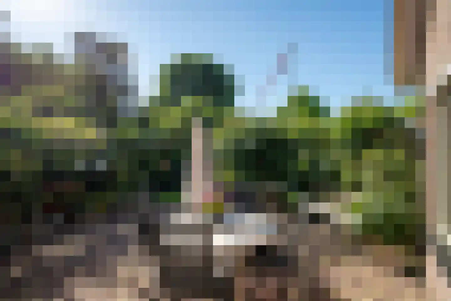 Greente 7 Genemuiden thumbnail 34