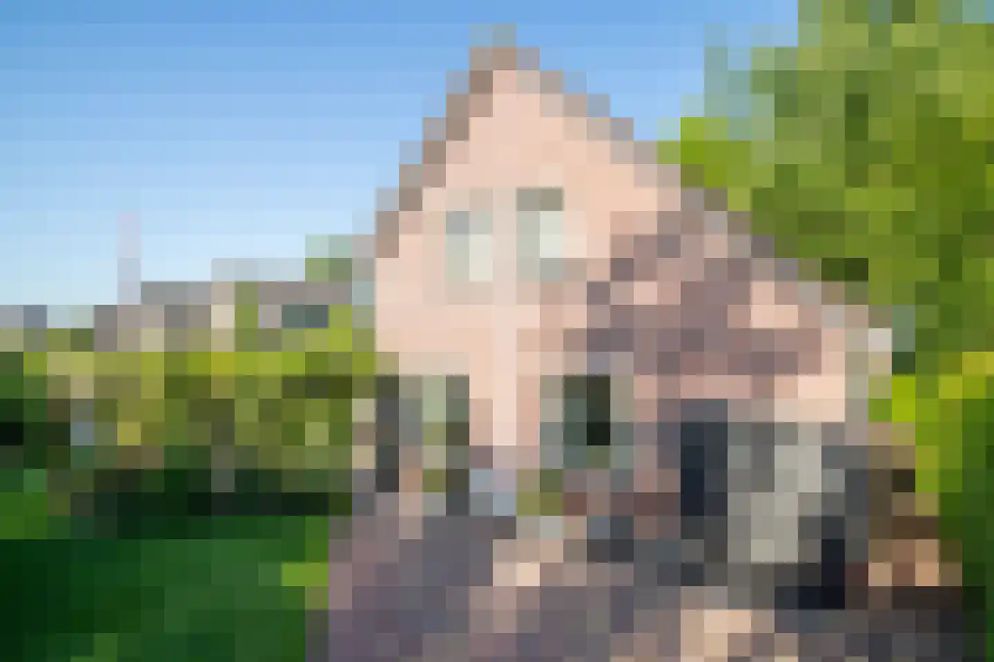 Greente 7 Genemuiden thumbnail 35
