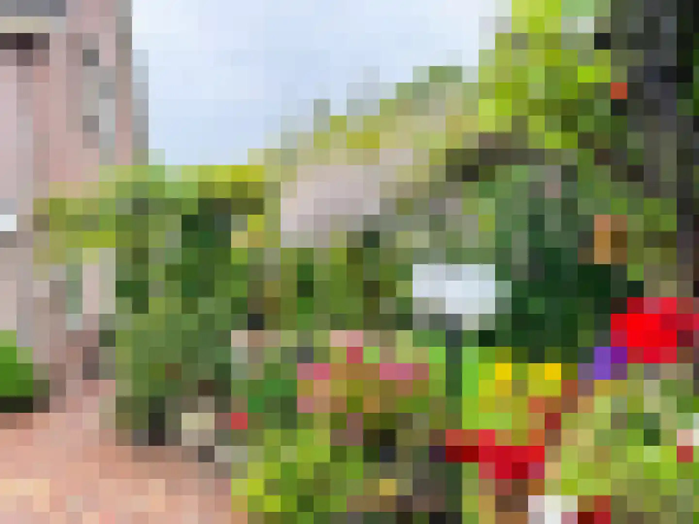 Greente 7 Genemuiden thumbnail 36