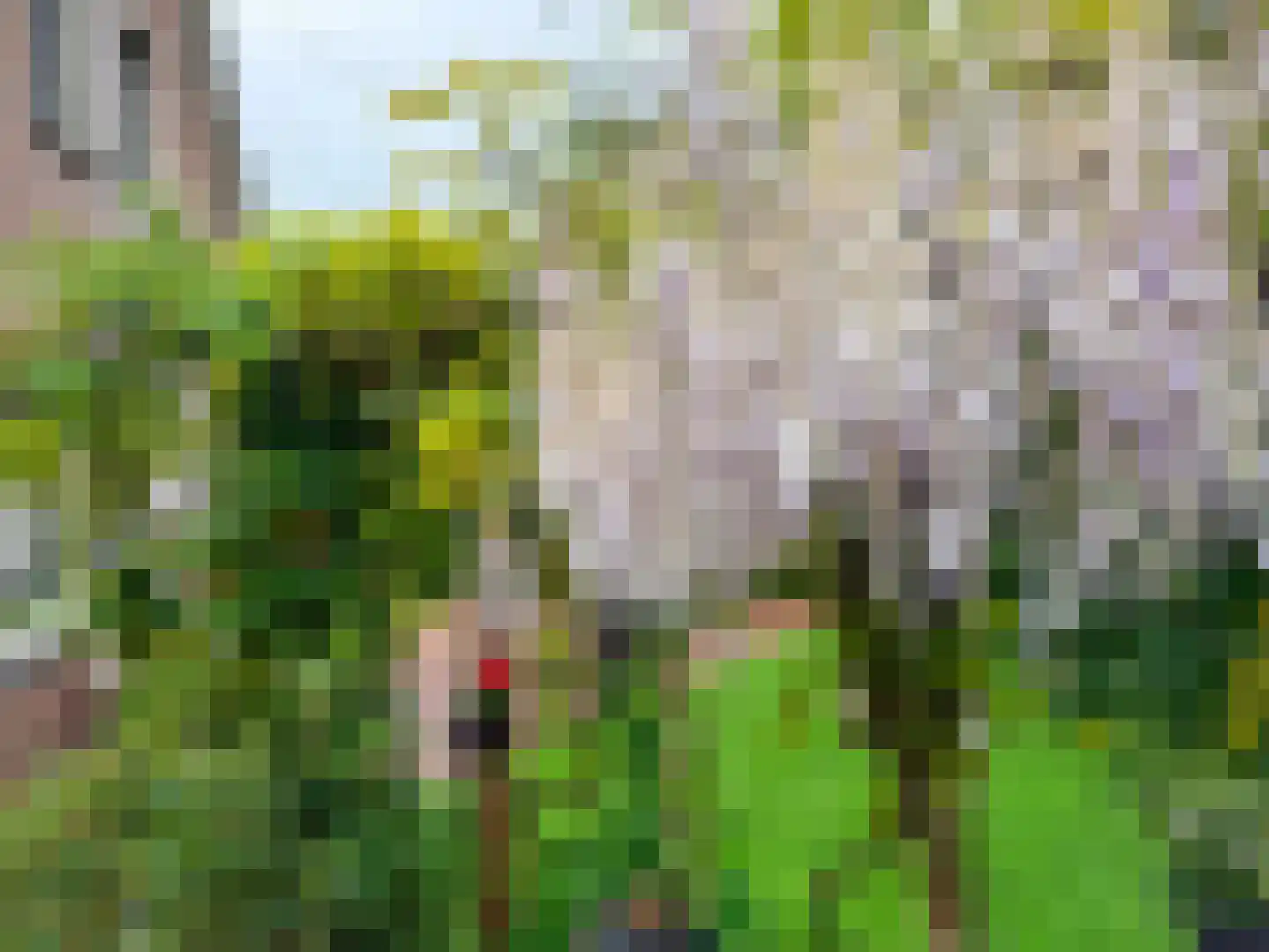 Greente 7 Genemuiden thumbnail 37