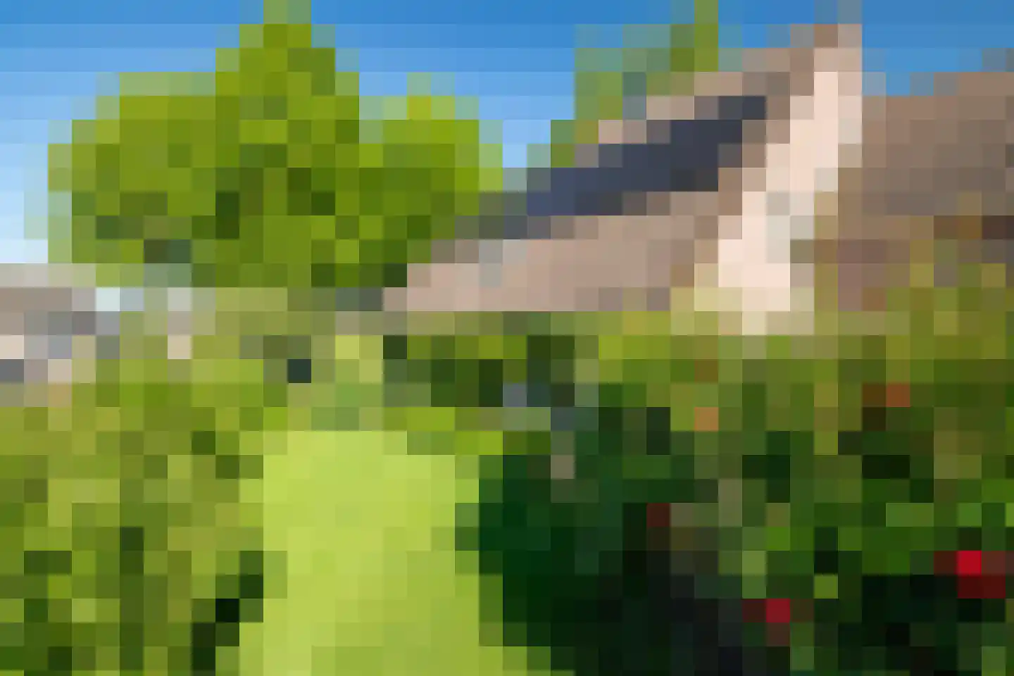 Greente 7 Genemuiden thumbnail 38