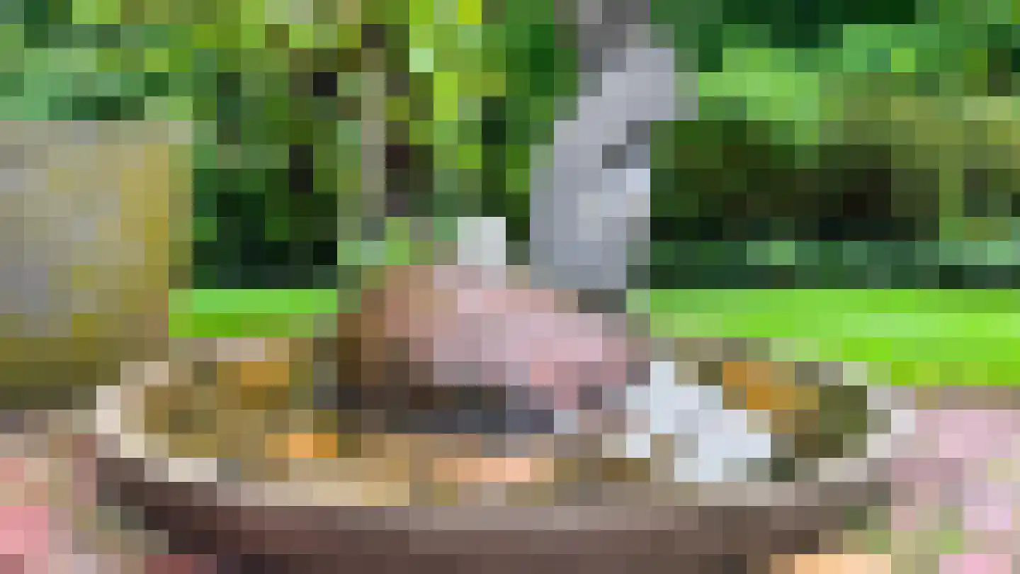 Greente 7 Genemuiden thumbnail 39