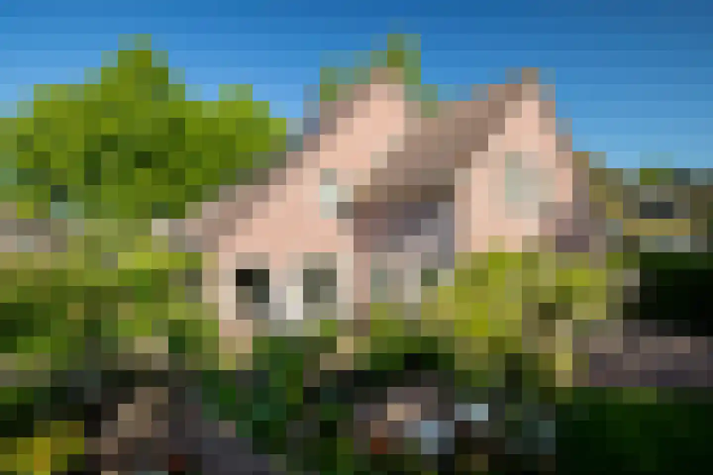Greente 7 Genemuiden thumbnail 4