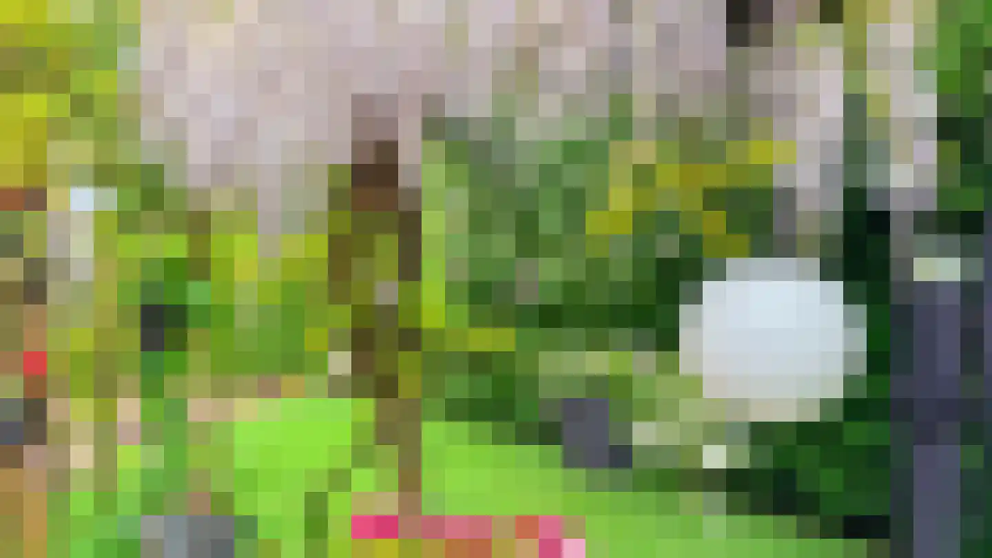 Greente 7 Genemuiden thumbnail 40