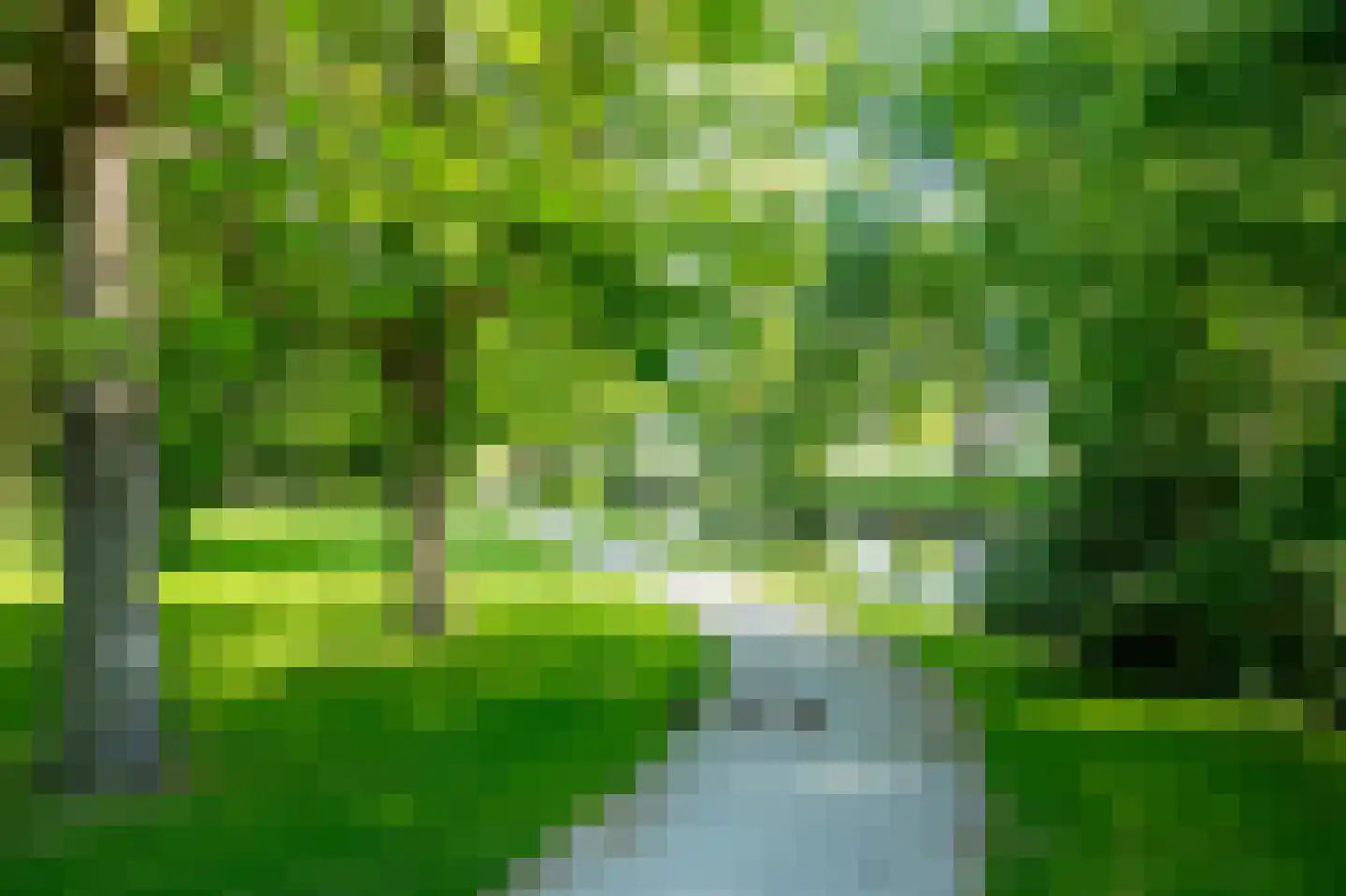 Greente 7 Genemuiden thumbnail 41