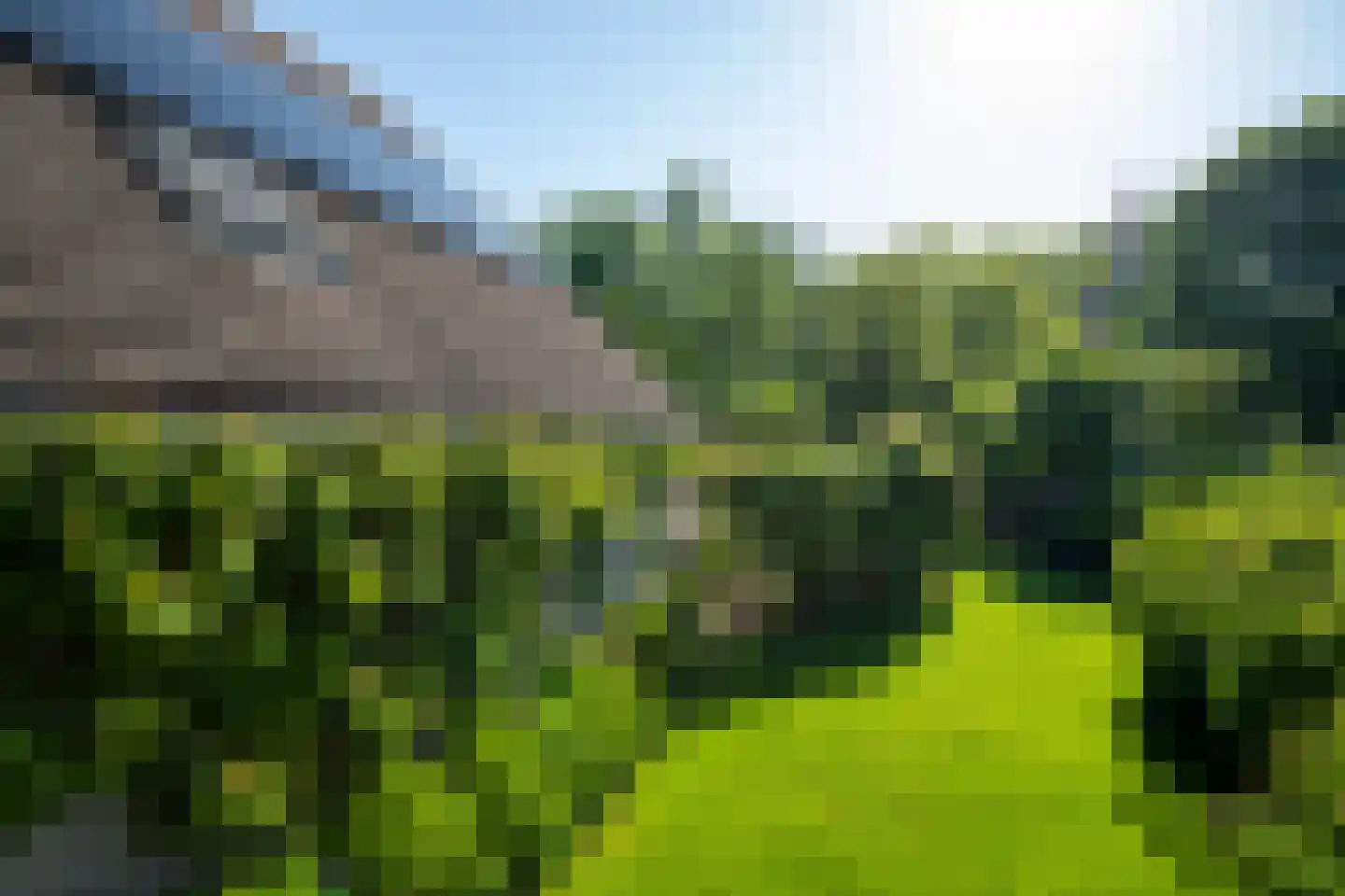 Greente 7 Genemuiden thumbnail 43