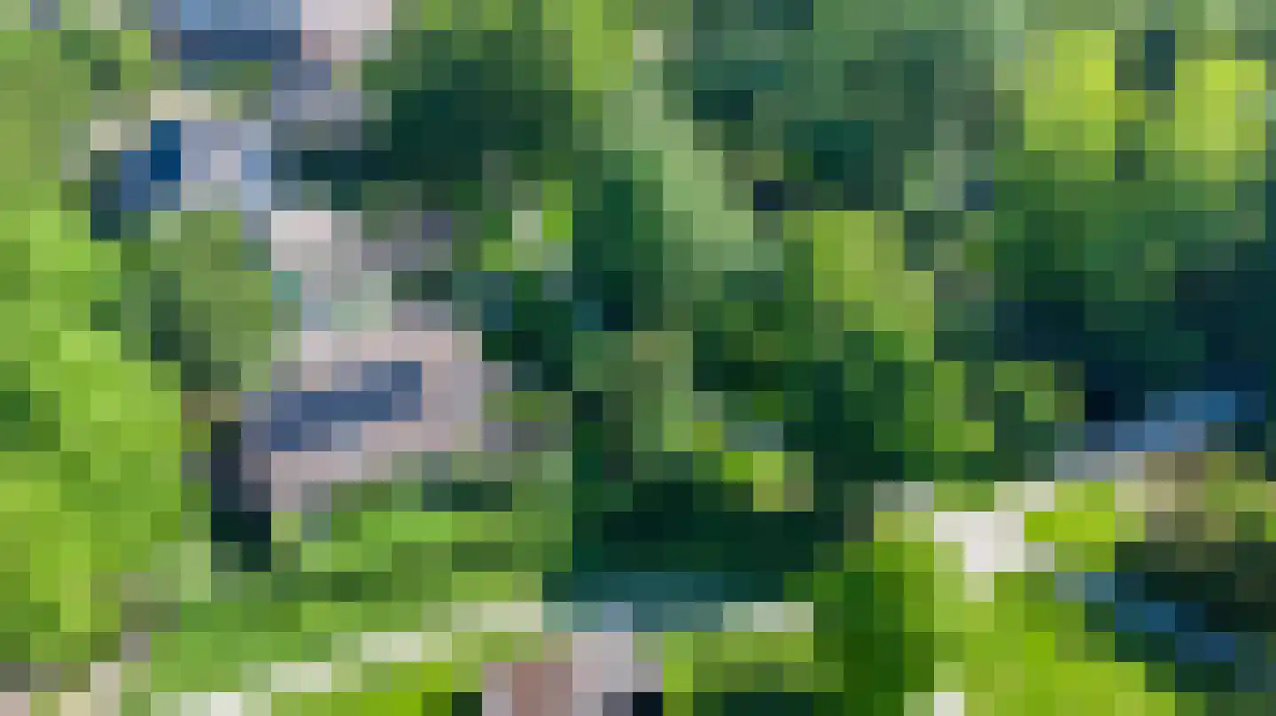 Greente 7 Genemuiden thumbnail 8