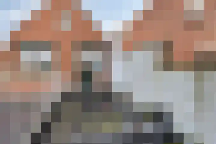 Greenterweg 4 Kampen thumbnail 27