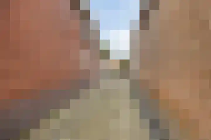 Greenterweg 4 Kampen thumbnail 35