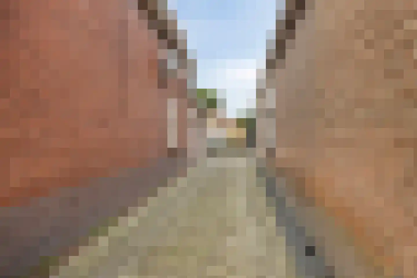 Greenterweg 4 Kampen thumbnail 35
