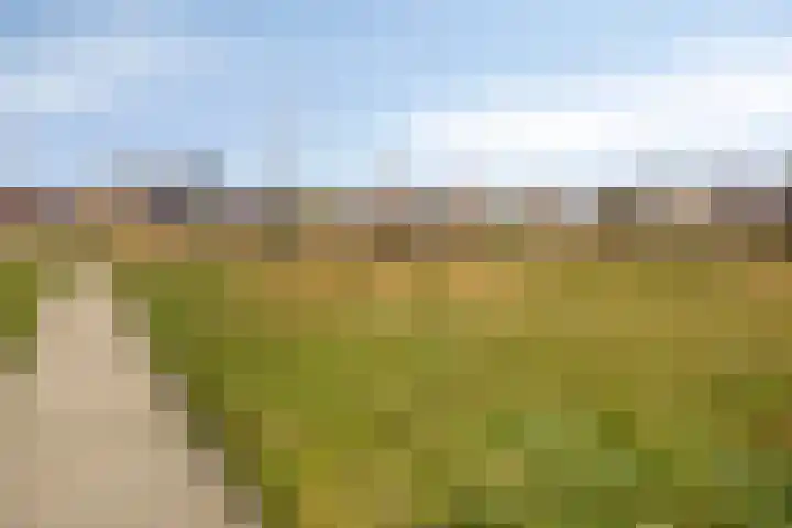 Greenterweg 4 Kampen thumbnail 39