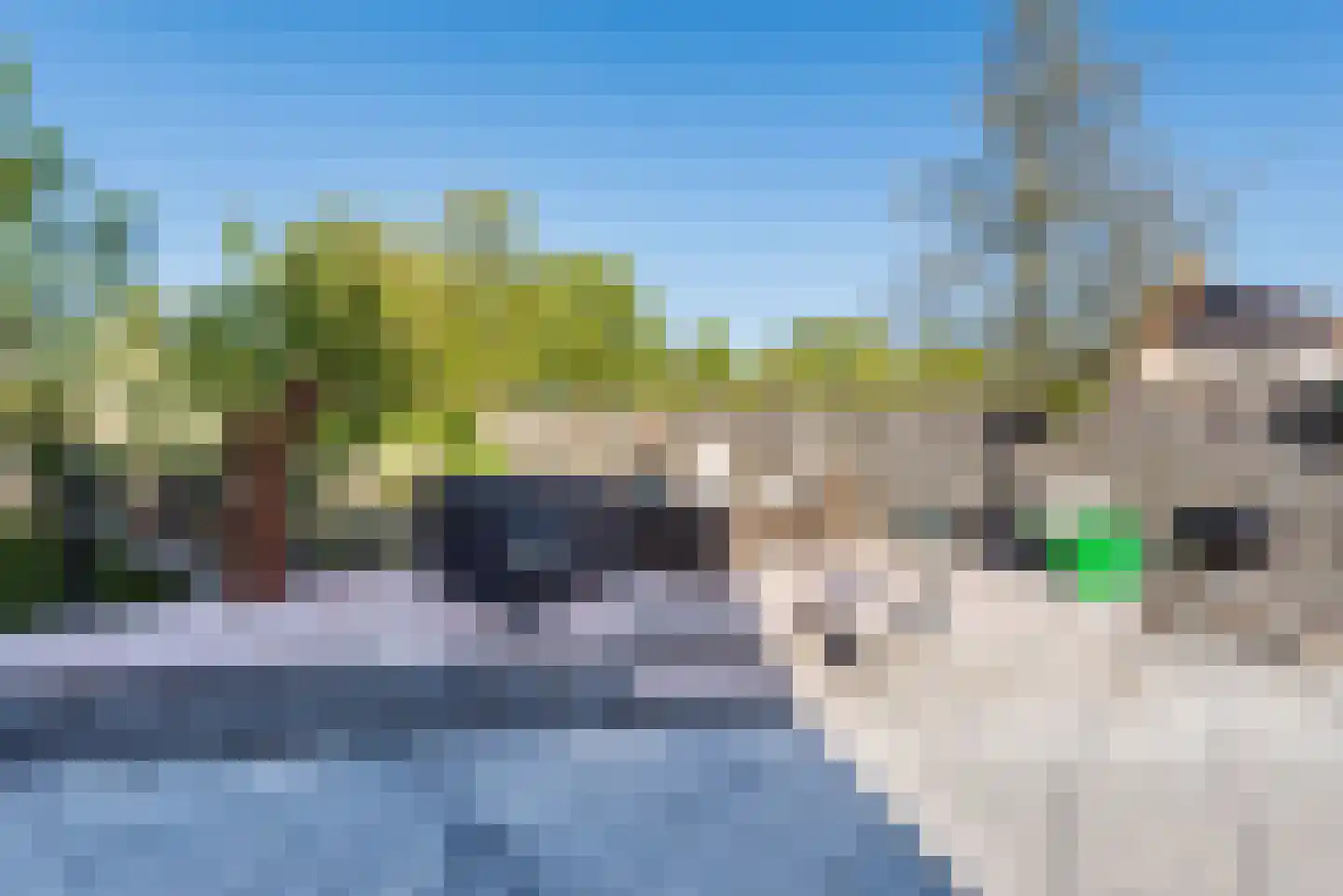 Greenterweg 52 Kampen thumbnail 82