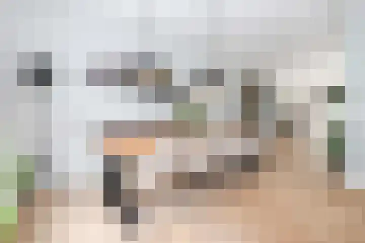 Greep 6 Hooglanderveen thumbnail 17