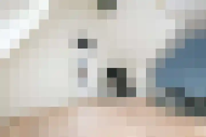 Greep 6 Hooglanderveen thumbnail 33