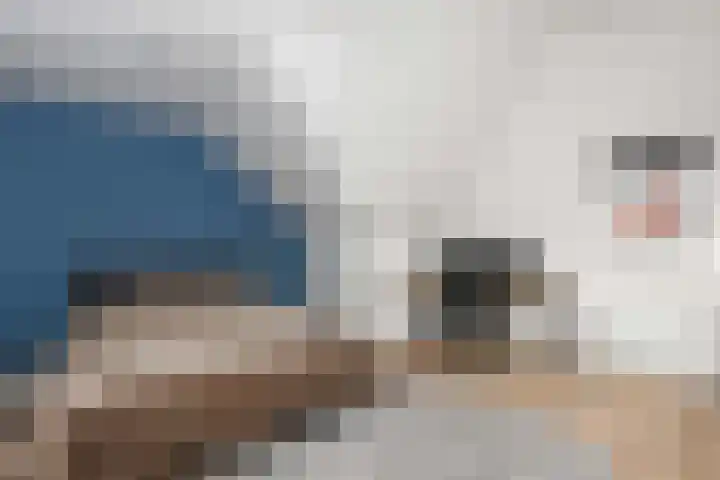Greep 6 Hooglanderveen thumbnail 35