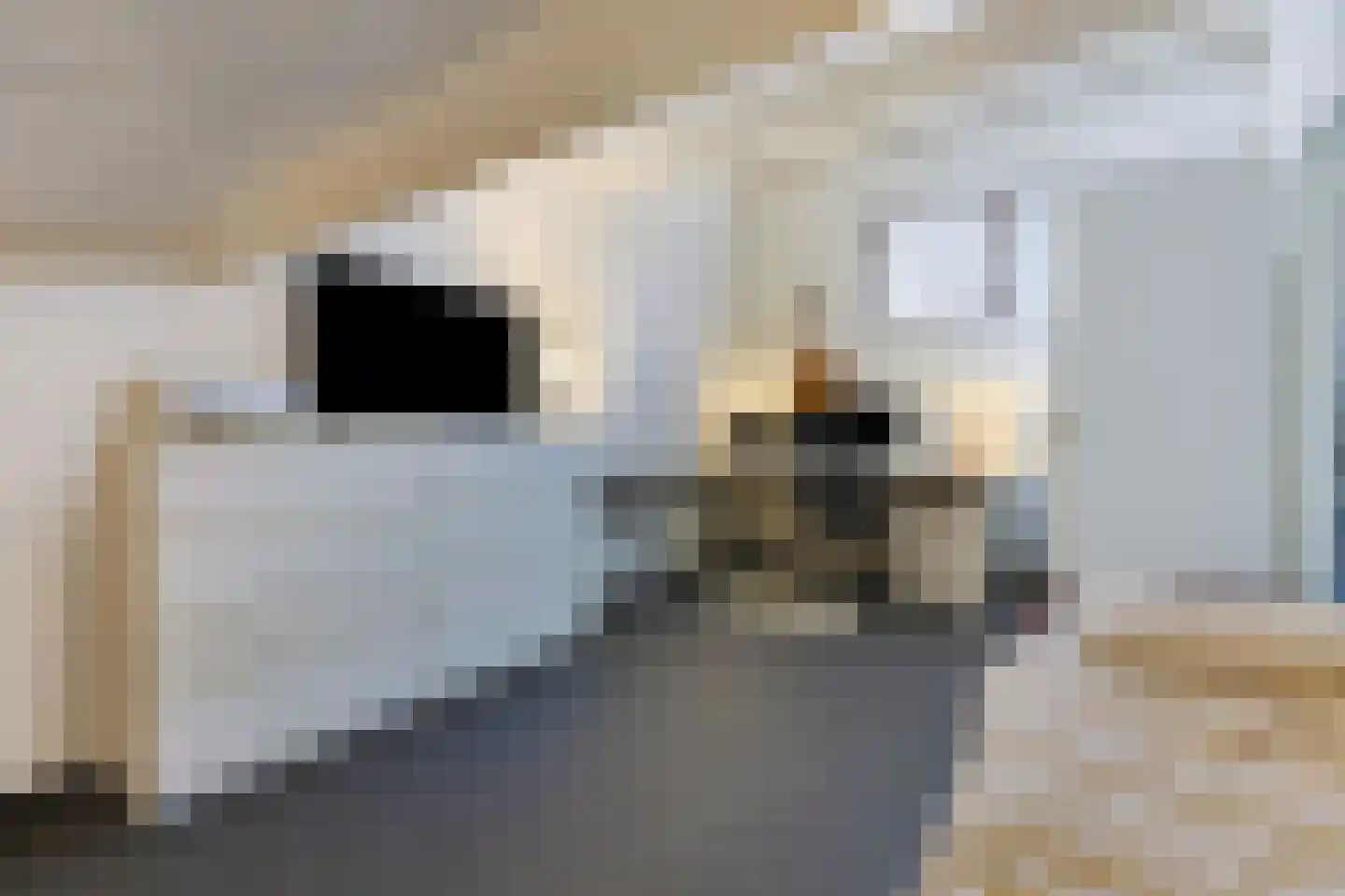 Greep 7 Hooglanderveen thumbnail 43