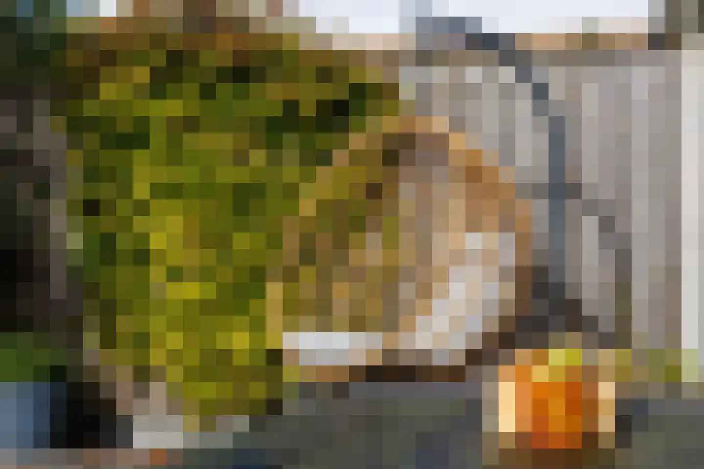 Greep 7 Hooglanderveen thumbnail 44