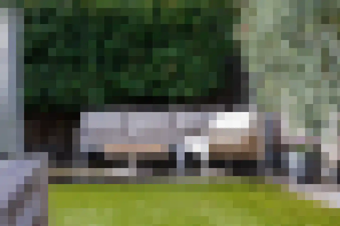 Greep 7 Hooglanderveen thumbnail 45