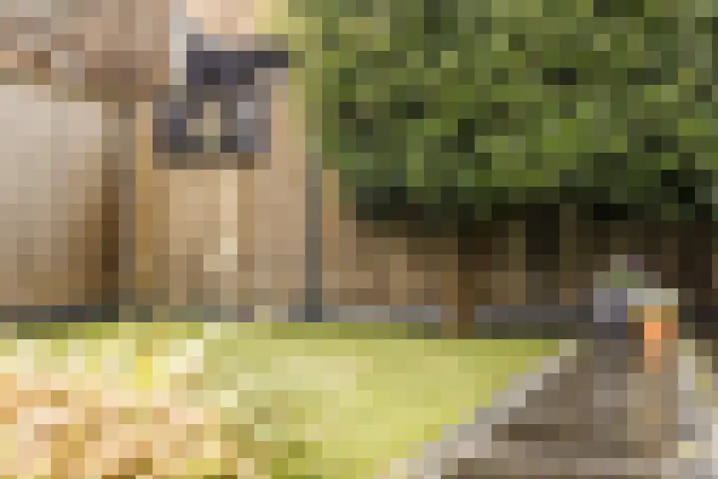 Greep 7 Hooglanderveen thumbnail 48