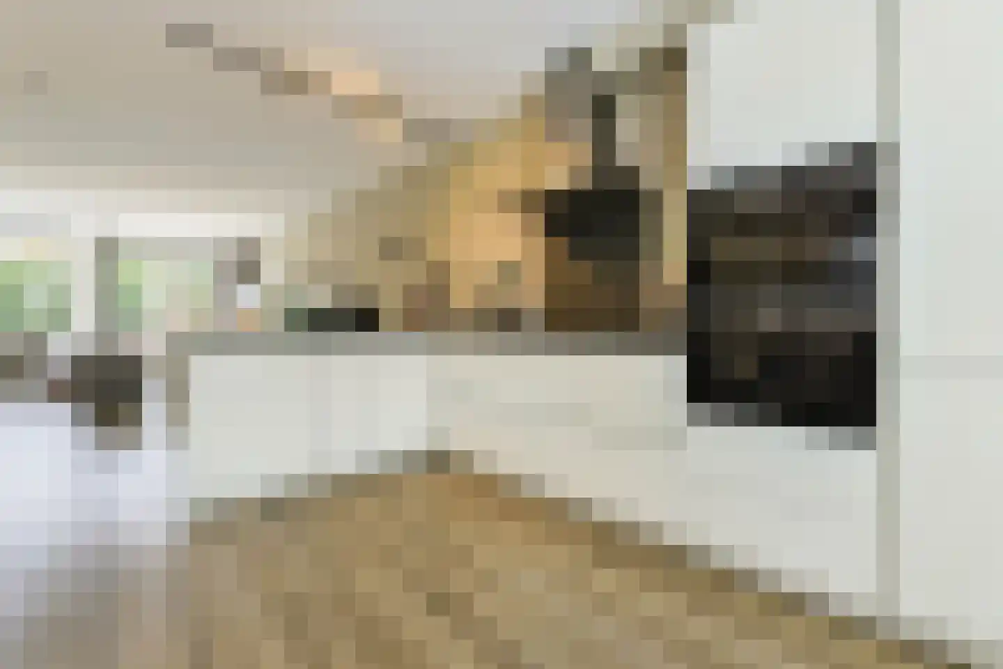 Greep 7 Hooglanderveen thumbnail 6
