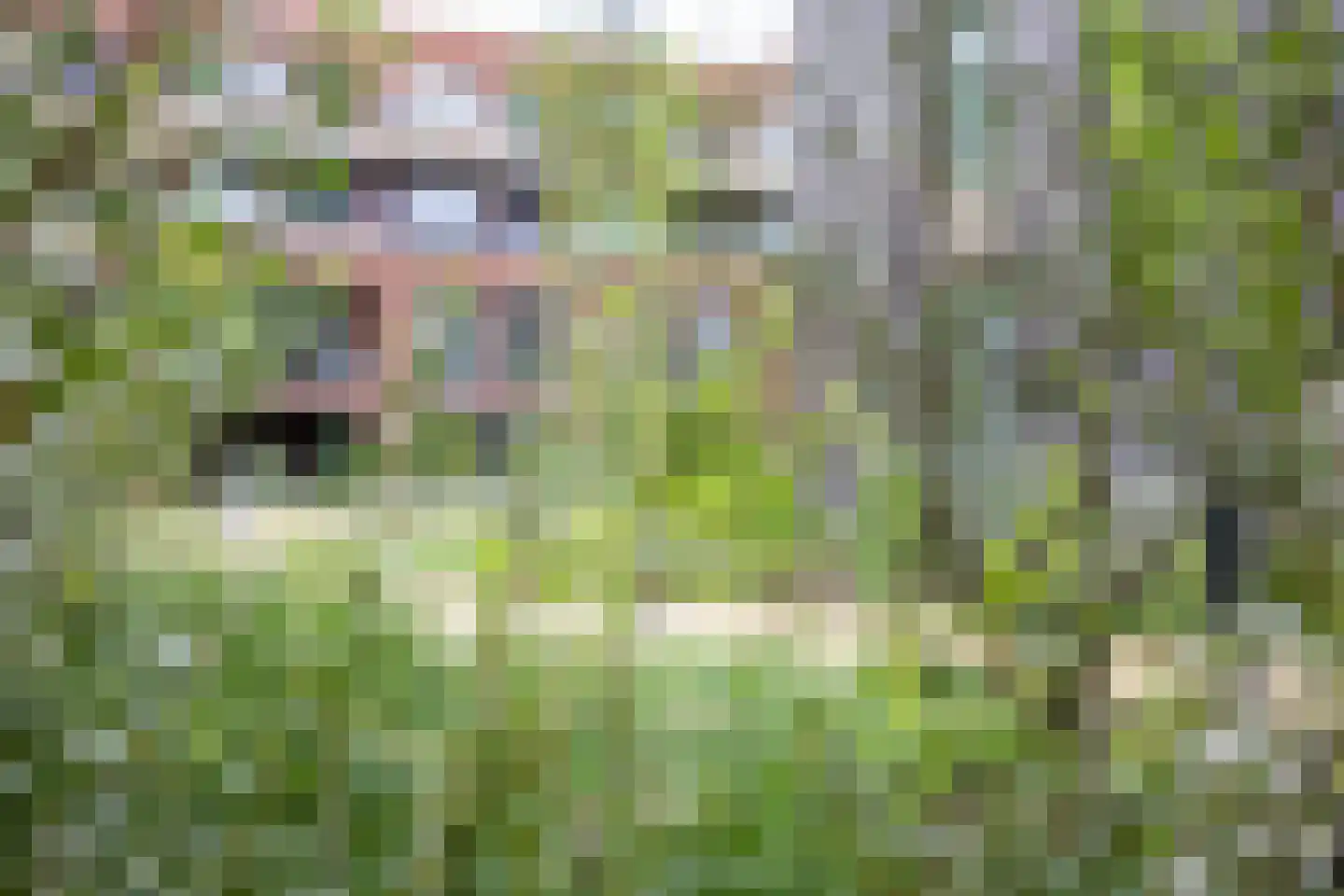 Greet Brinkhuispromenade 11 Utrecht thumbnail 37