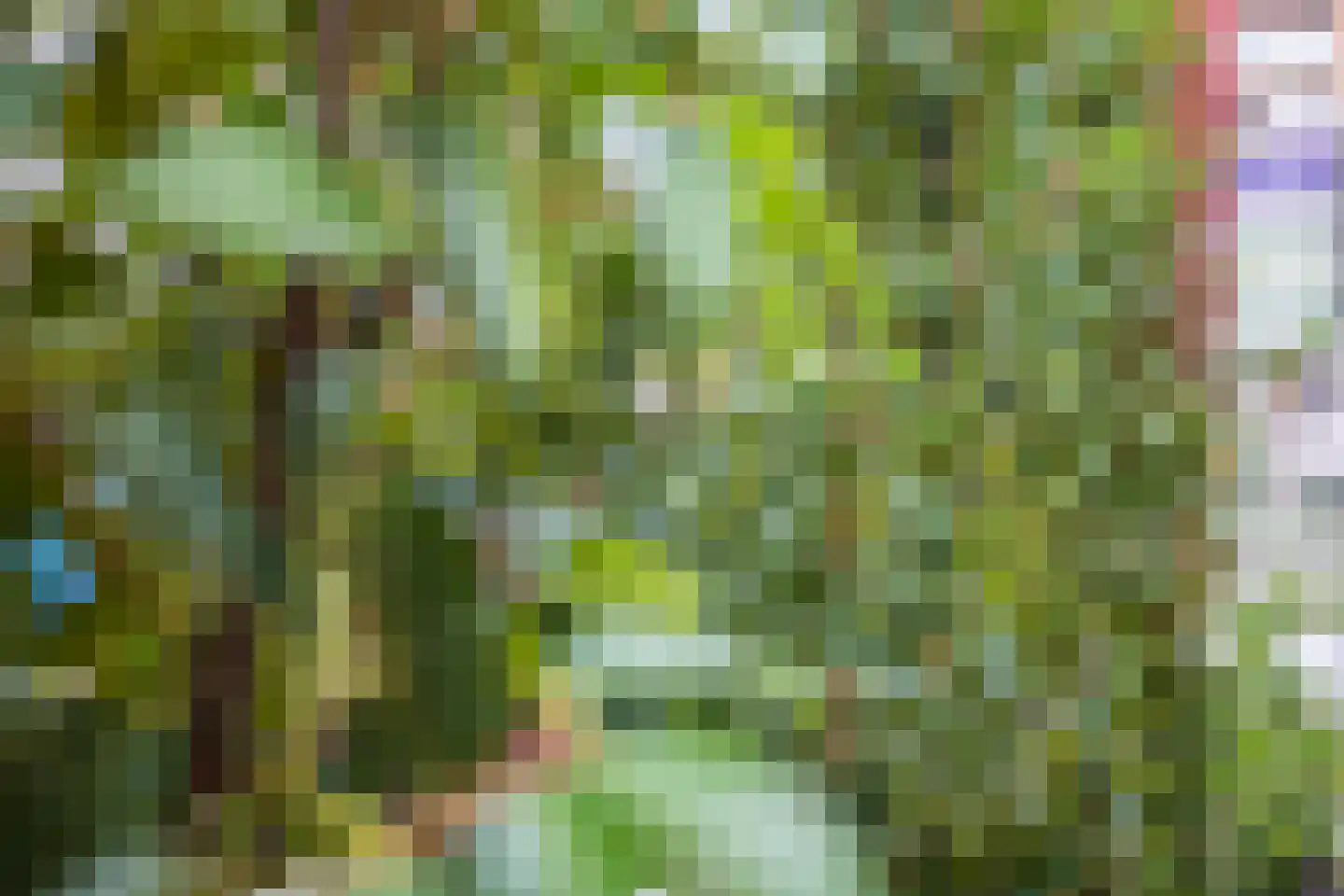 Greet Brinkhuispromenade 11 Utrecht thumbnail 39