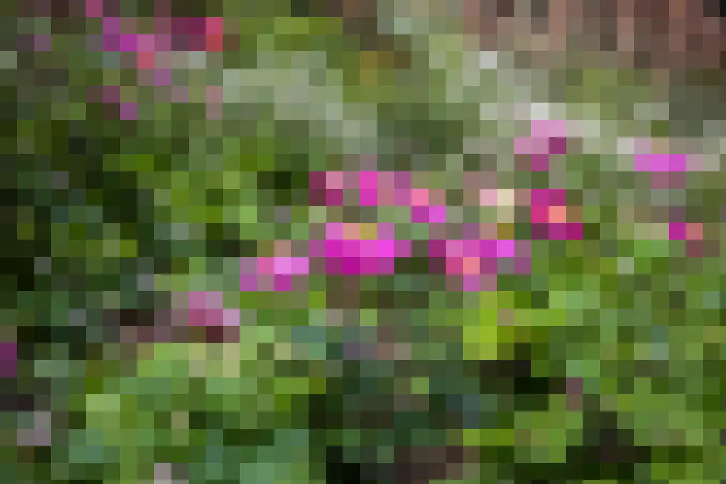 Greet Brinkhuispromenade 11 Utrecht thumbnail 52