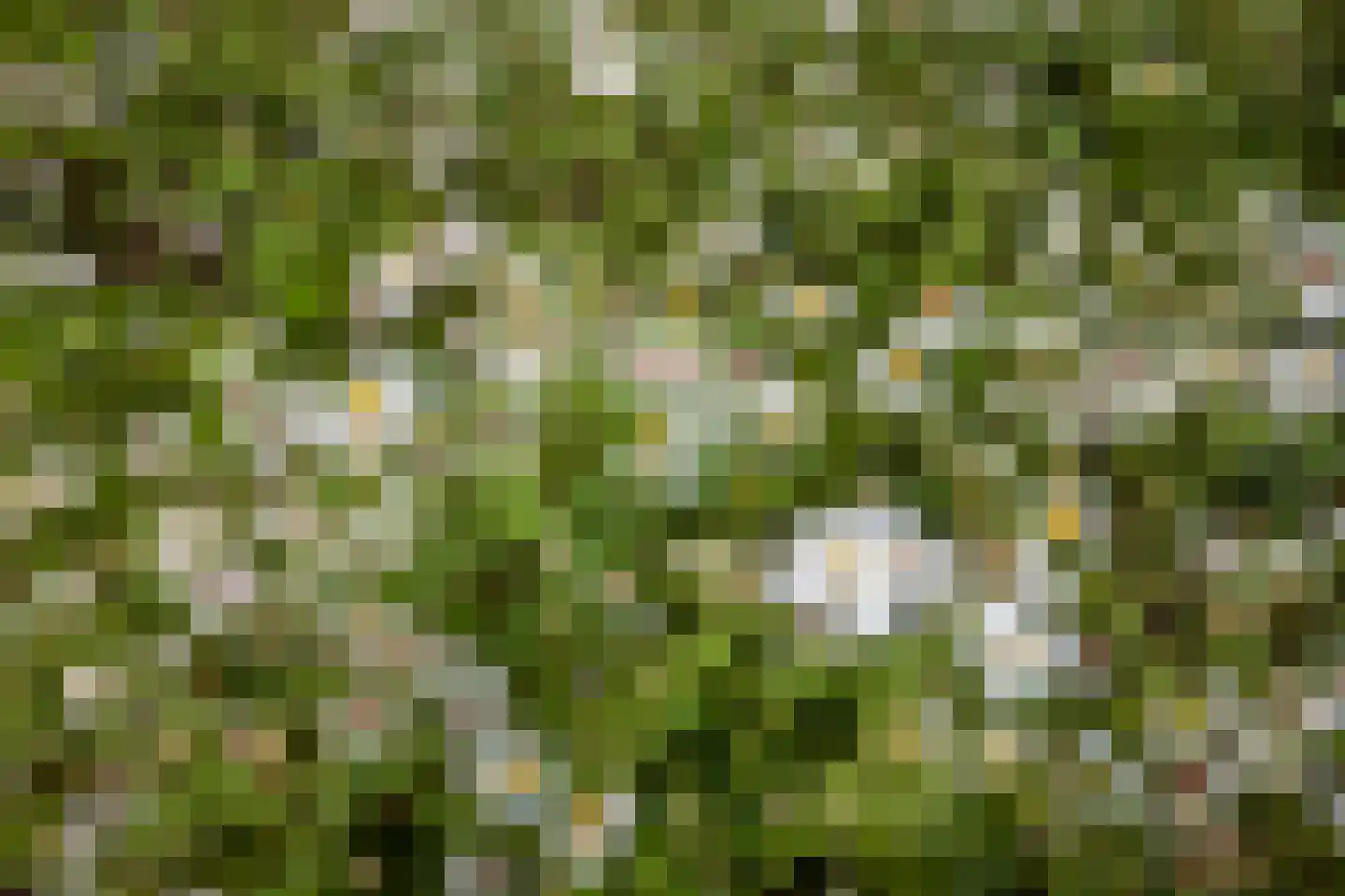 Greet Brinkhuispromenade 11 Utrecht thumbnail 54