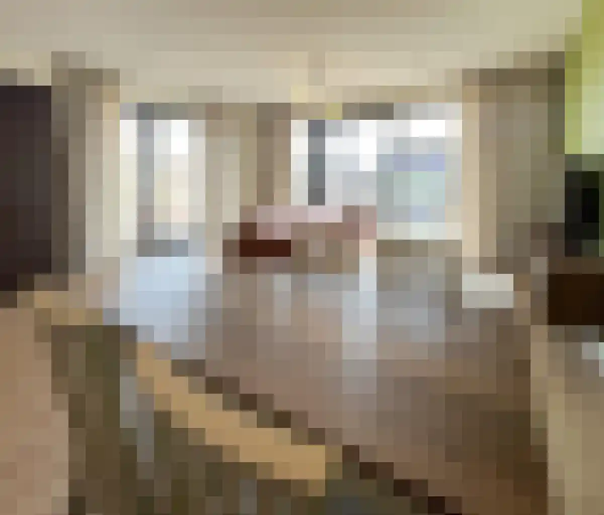 Greet Brinkhuispromenade 39 Utrecht thumbnail 4