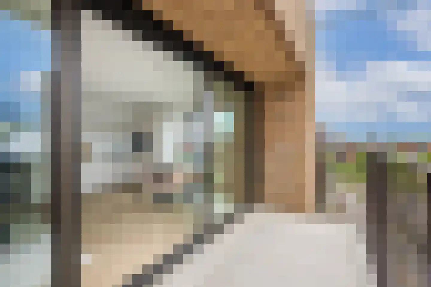 Greet Brinkhuispromenade 43 Utrecht thumbnail 25