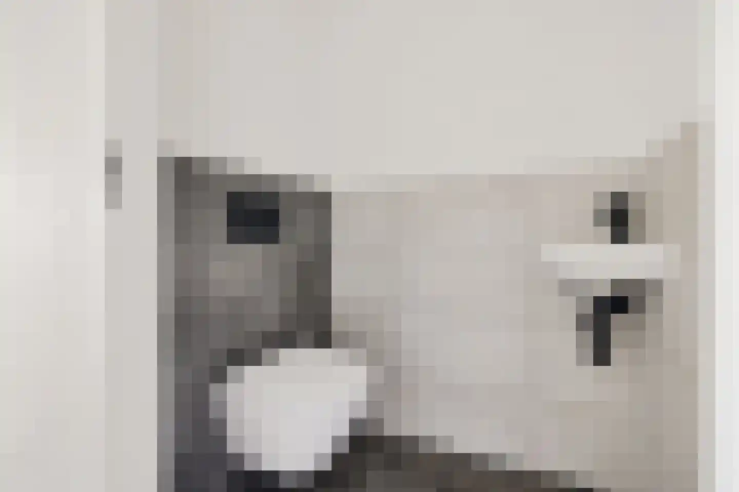 Greet Brinkhuispromenade 43 Utrecht thumbnail 38