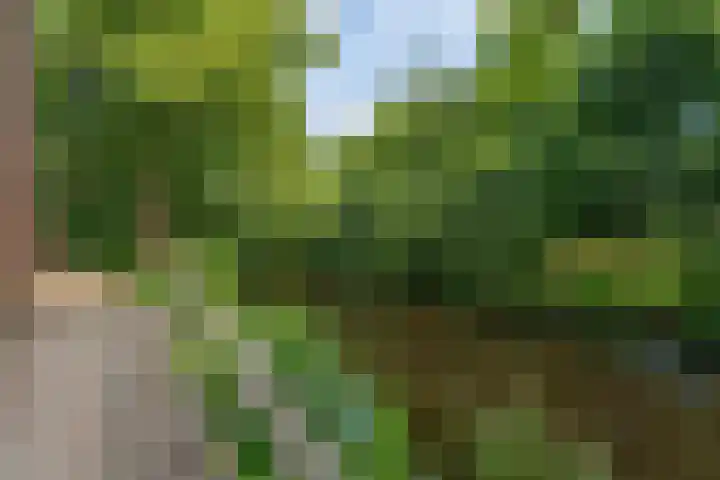 Greet Koemanplein 13 Oegstgeest thumbnail 27