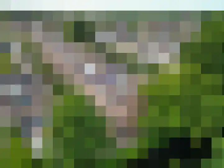 Greet Koemanplein 13 Oegstgeest thumbnail 29