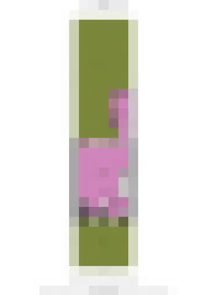 Greet Koemanplein 13 Oegstgeest thumbnail 35